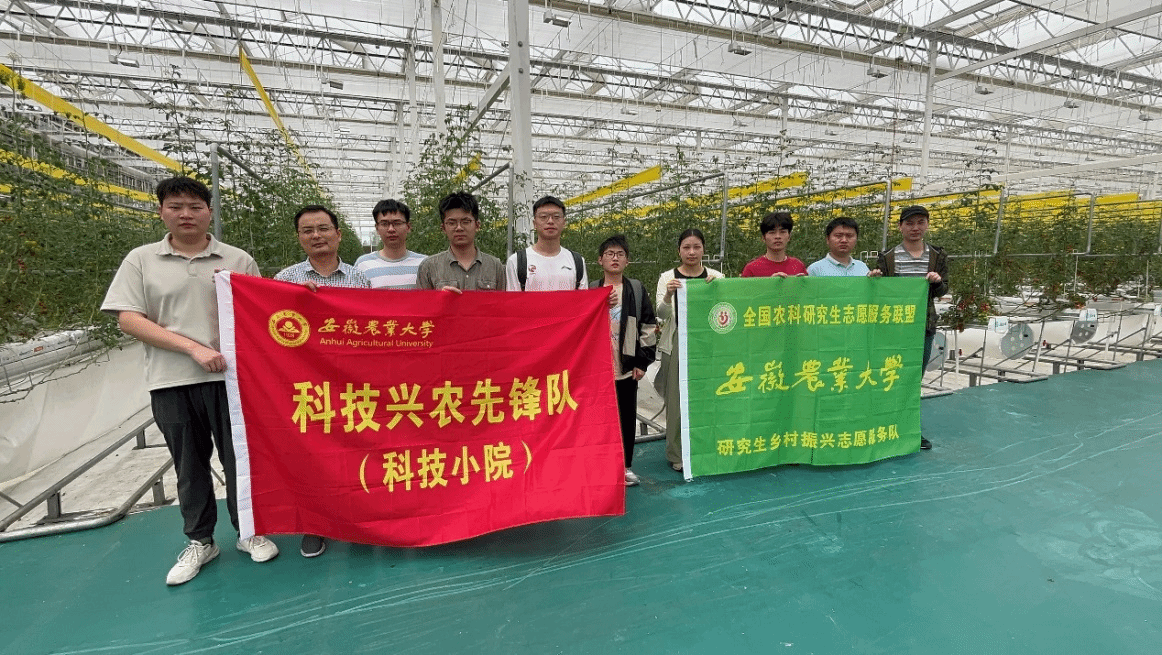 信息與人工智能學(xué)院扎實(shí)推進(jìn)舒城智能蔬菜科技小院建設(shè)與信息系統(tǒng)運(yùn)行維護(hù)服務(wù)